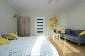 Apartament Kościuszko Torun